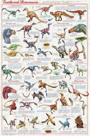 Feathered Dinosaurs Poster