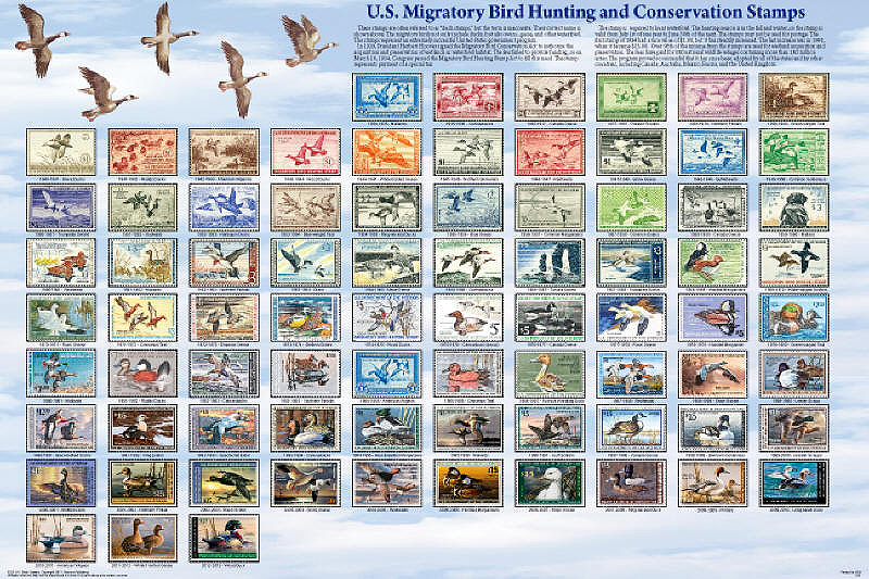 Migratory Bird Hunting Stamps - Duck Stamps