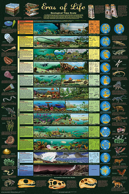 geological time scale chart. Geological Time Scale Poster