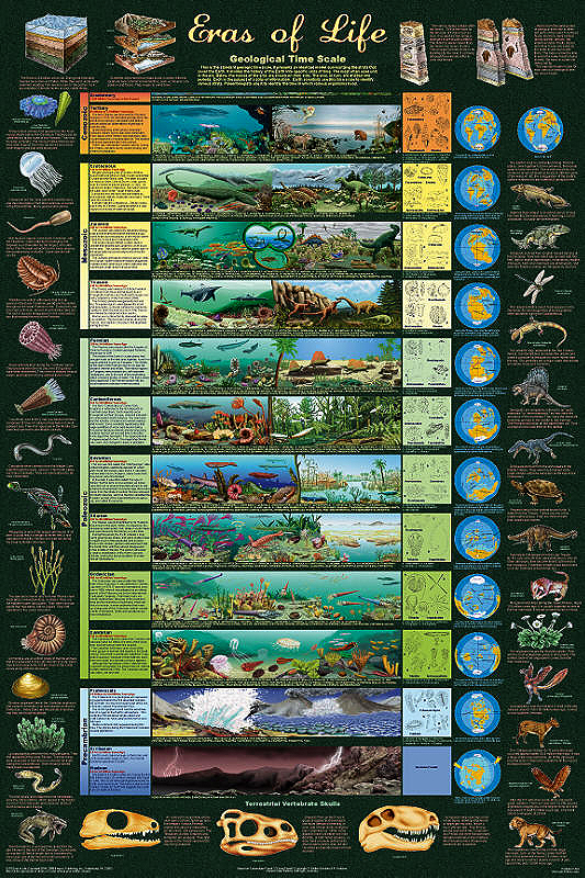 geological time scale chart. Eras of Life - Geological Time