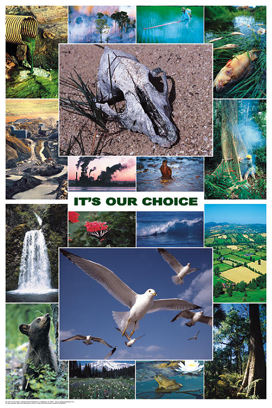 Ecology Poster - It's Our Choice