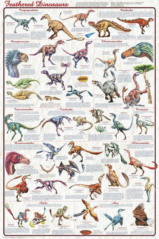 Dinosaur Chart Poster