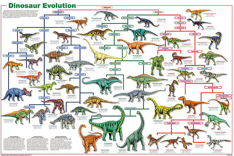 Dinosaur Breeds Chart