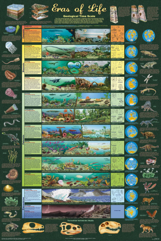 geological time scale chart. The geological time scale