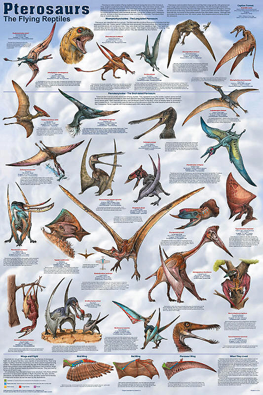 flying dinosaurs types