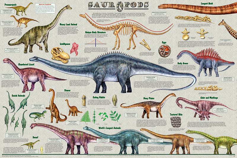 Sauropods World S Largest Animals